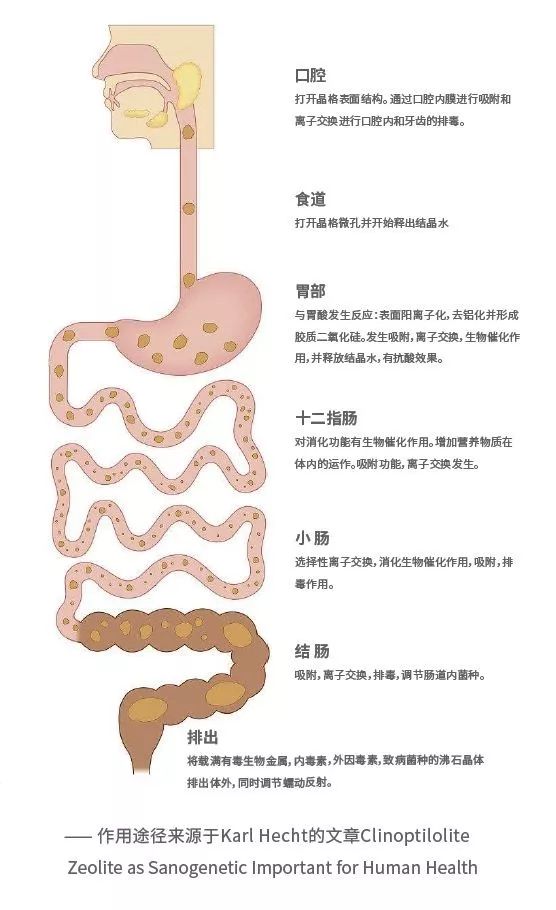 國投盛世與德國沸石納米高科技企業(yè)DMT公司達成合作意向-國投盛世